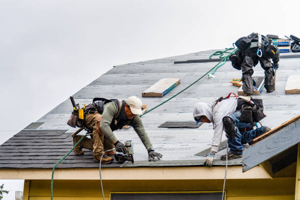 Professional Gutter Installation technician working in Jacks Creek, TN
